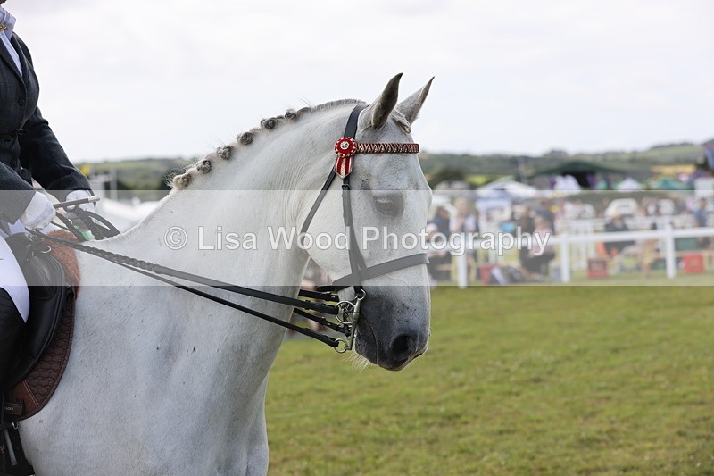 JPP_1467 - Class 17: Cornish Combination Open
