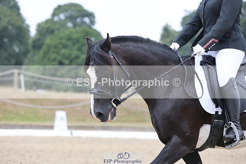 250718A-100009-00404 - 145-Amber.Heywood-Walena.Rockocoko