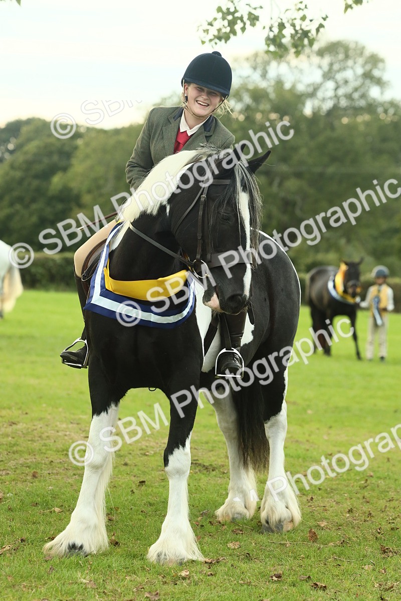 SBM_75296 - Super Supreme Championship