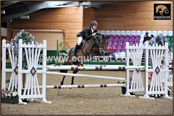 equiscot 5732 tom foley - 2012 PRIZEWINNERS INDIVIDUAL PICS
