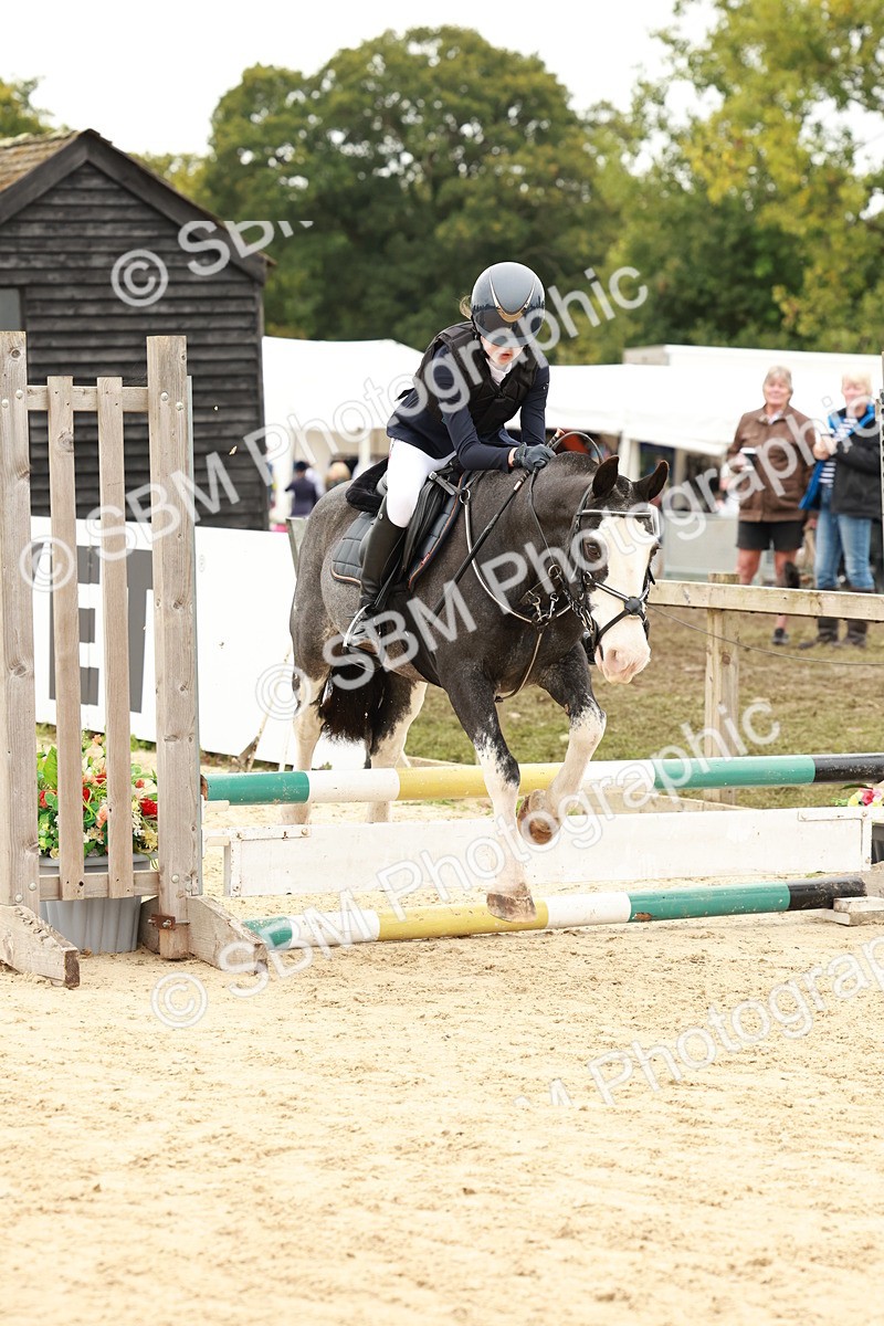SBM_61897 - J12 - Junior Pony 55cm Championship