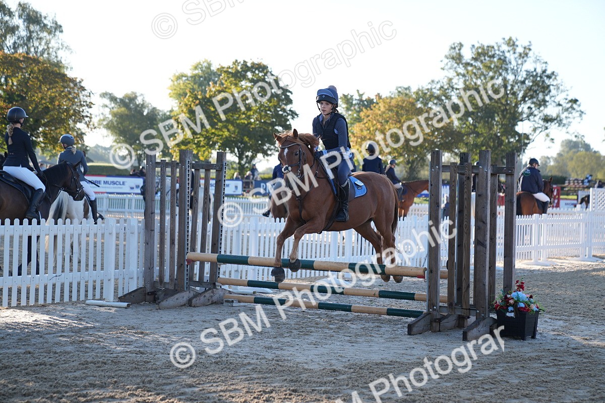 SBM_13954 - J59 - Clear Round - 65cm