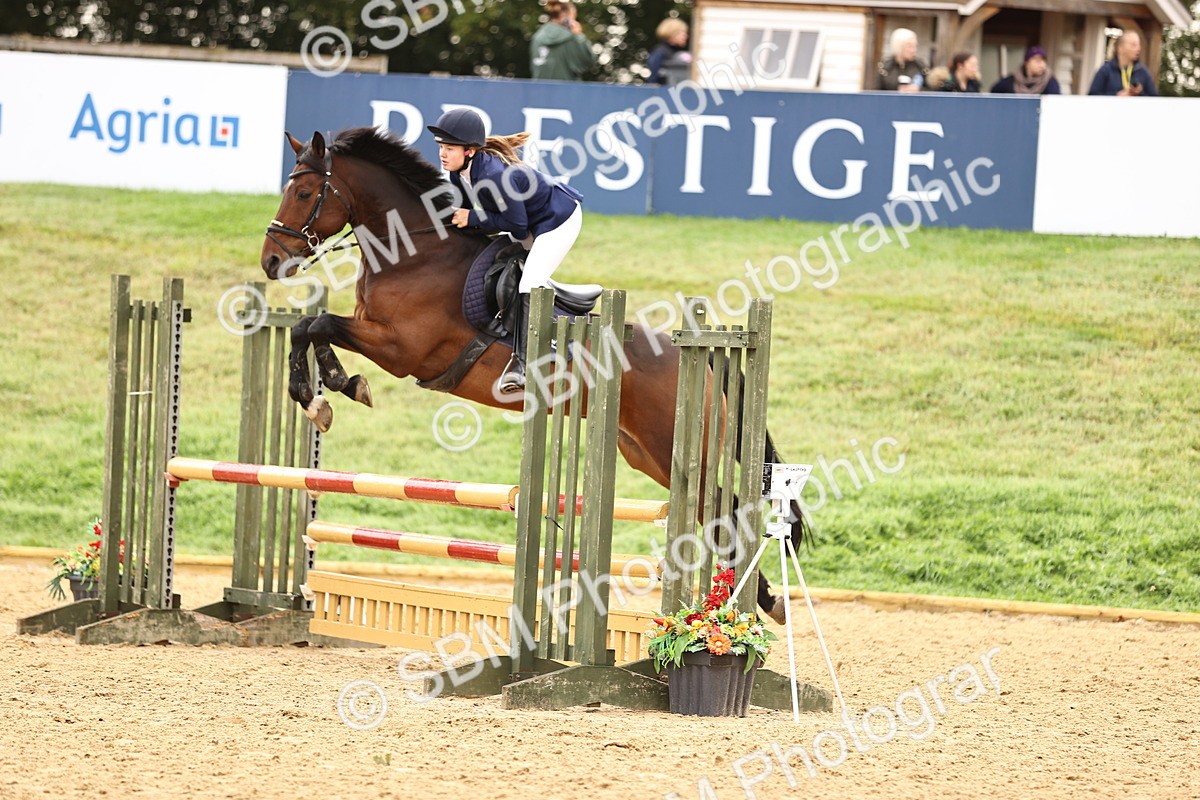 SBM_58498 - J41 - Grand Tour Horse & Pony 95cm