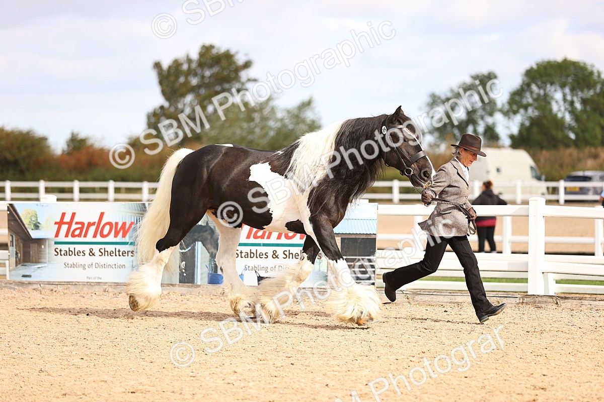 SBM_09286 - Class 404 - IH Traditional - Native Cob