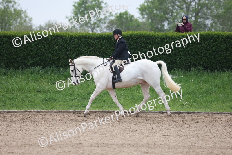 20260504-1114 - Class 14 - Cob and Hunter