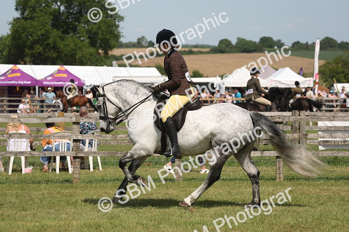 SBM_07621 - Class 26-30 - Mountain and Moorland Ridden