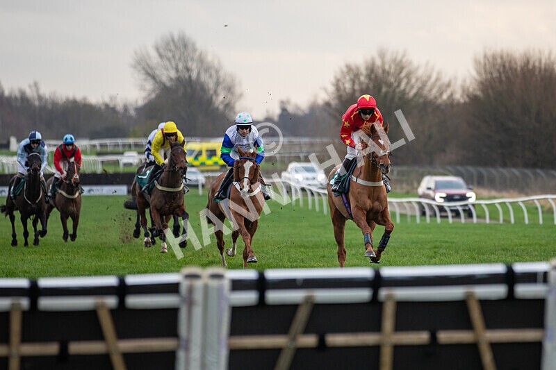 171224-Race 4-Wise Eagle-0150 - Race 4