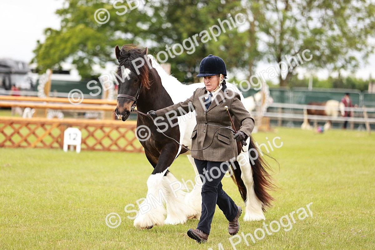 SBM_05979 - Class 39-41 TGCA In Hand and Ridden