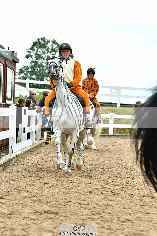 230804A-105734-02070 - Musical Ride