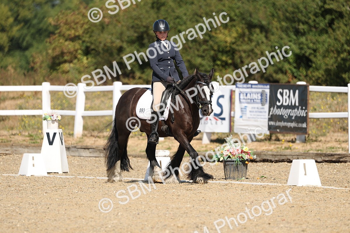 SBM_013532 - Class 1 - P5 Bronze 10.38.12.02