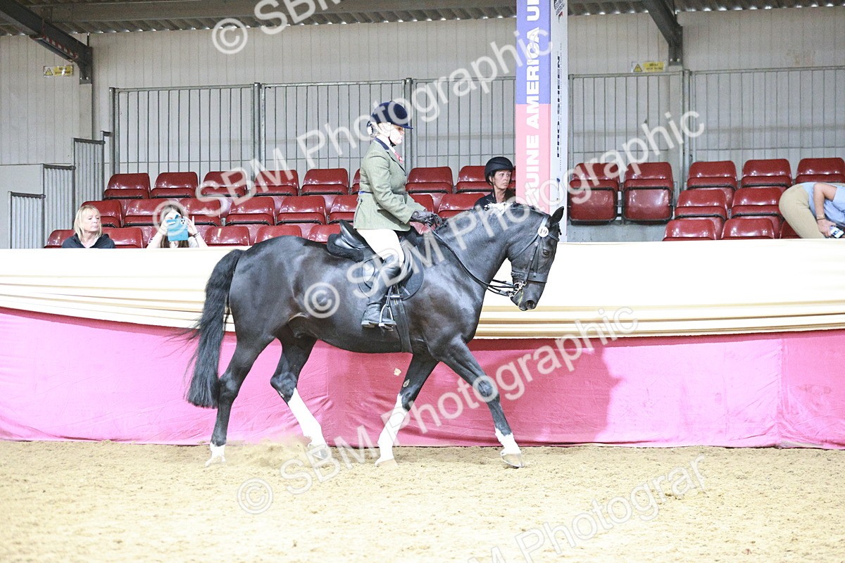 SBM_08750 - Class 12R - Regional Ridden Pre-Vet
