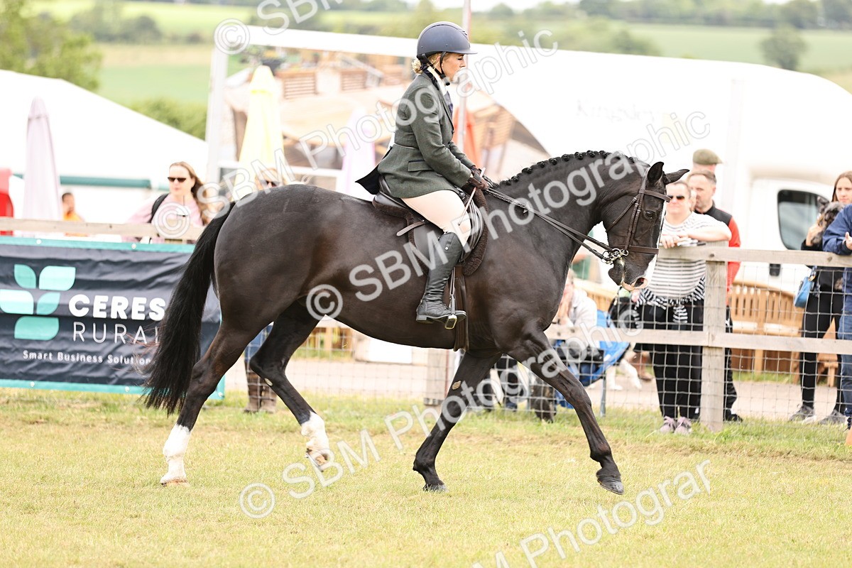 SBM_14634 - Class 88-89 - LIHS BSHA Rising Star of Ridden Hunter Type