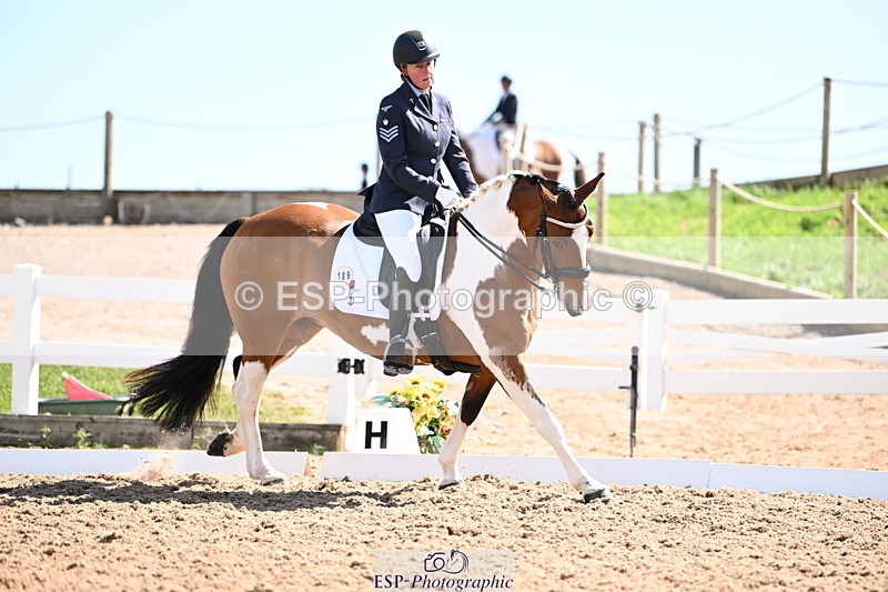 240816A-111014-04013 - 189-Mel.Day-Dolderwydd.lucky.Maisie