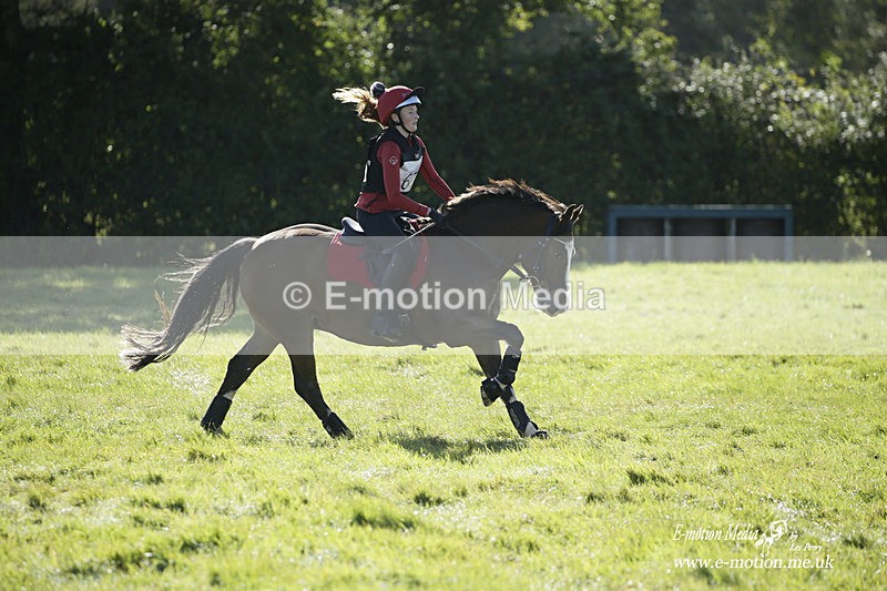  WWHT 031021 828 - WWEC Novice Restricted (0.80m) 18/10/20