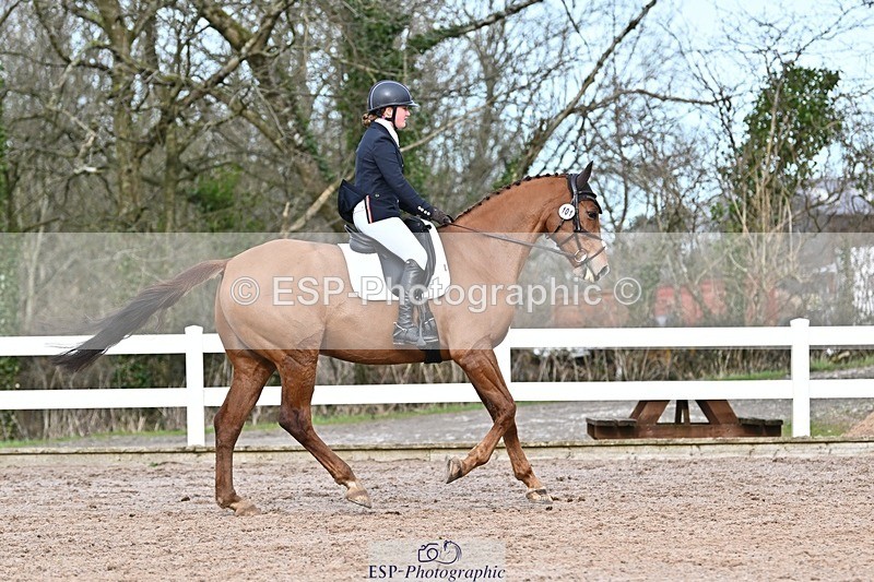 250125-131119-00583 - Dressage - CT Class 6 BE102
