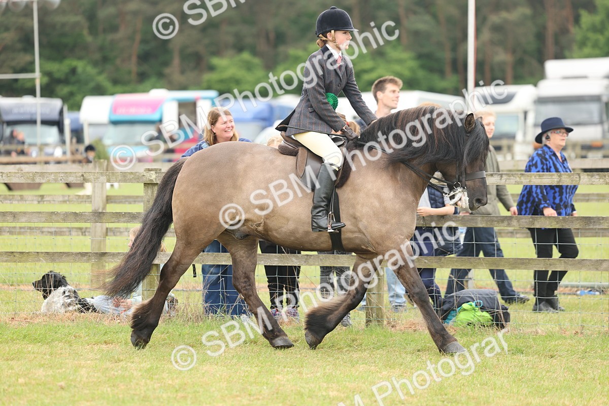 SBM_09066 - Class 78-80 - Ridden M&M Non Welsh Ponies