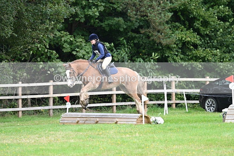 WJ7_7694 - 40cm Time 10:49 to 11:18