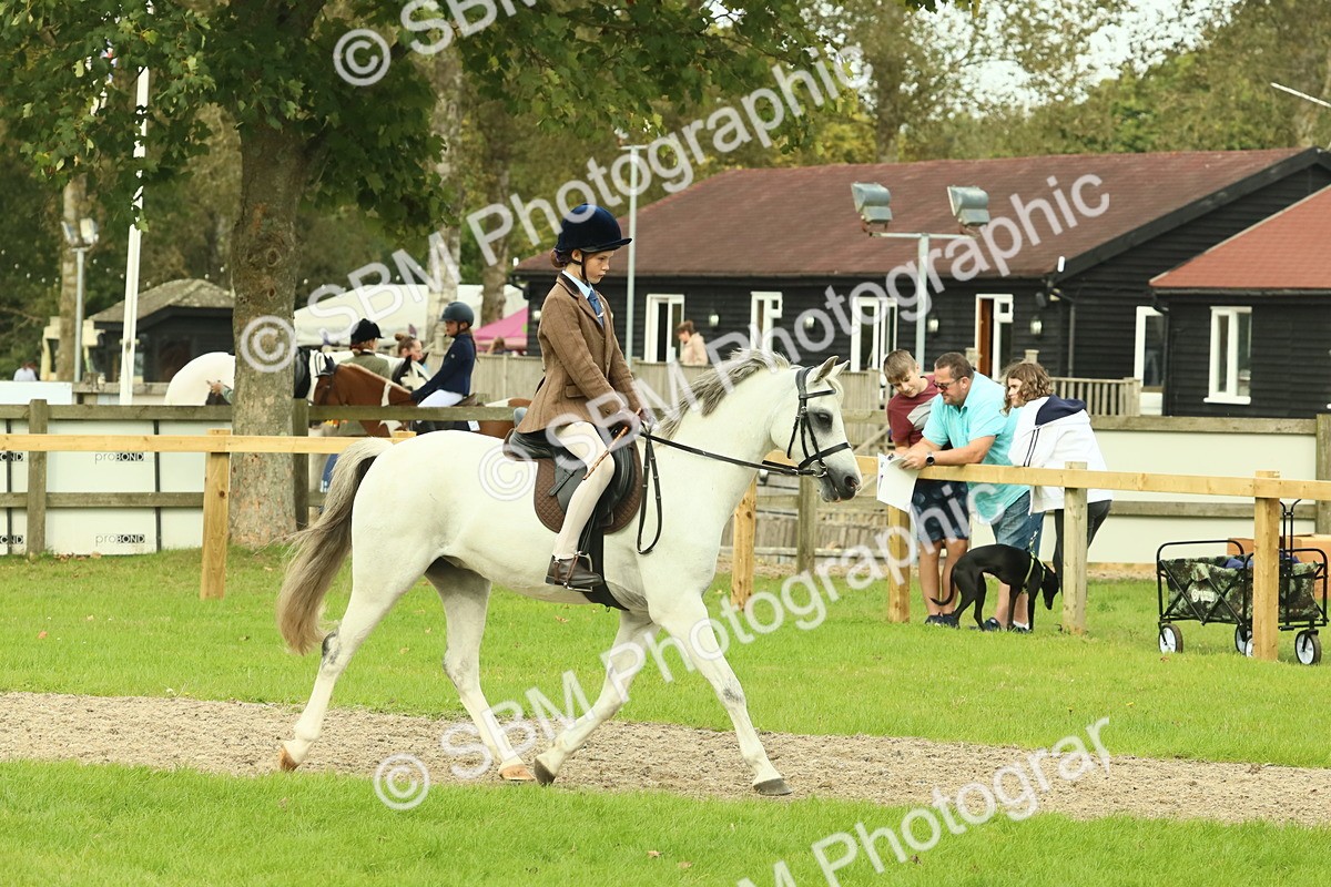 SBM_69912 - S59 - Mountain & Moorland Ridden Small Breeds