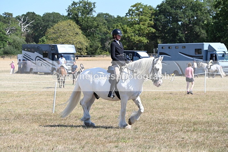 WJ6_8254 - Class 37a Best Loan Pony Ridden