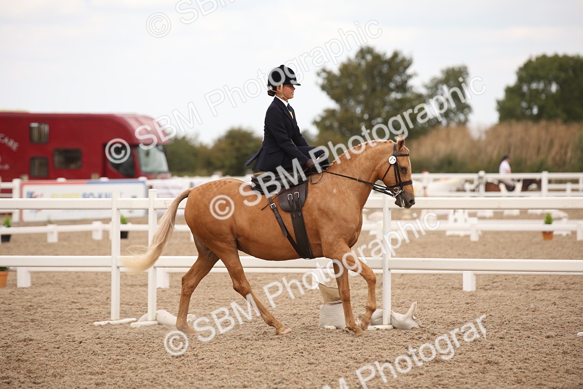 SBM_05328 - Class 22 SSA Equitation