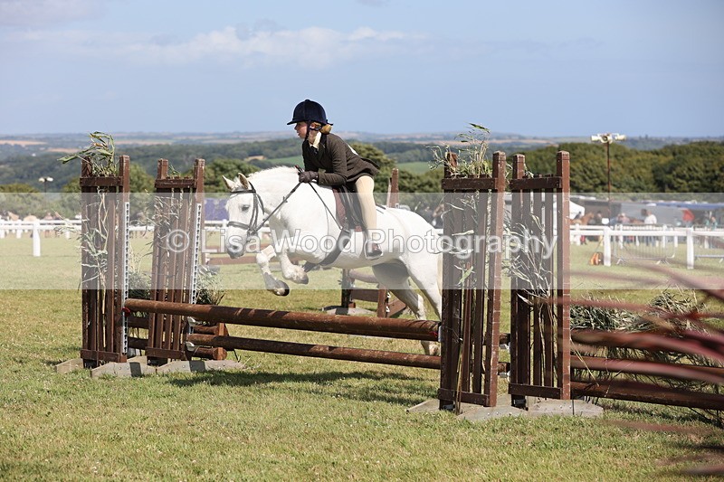 JPP_2235 - Class 19: Working Hunter 60cm