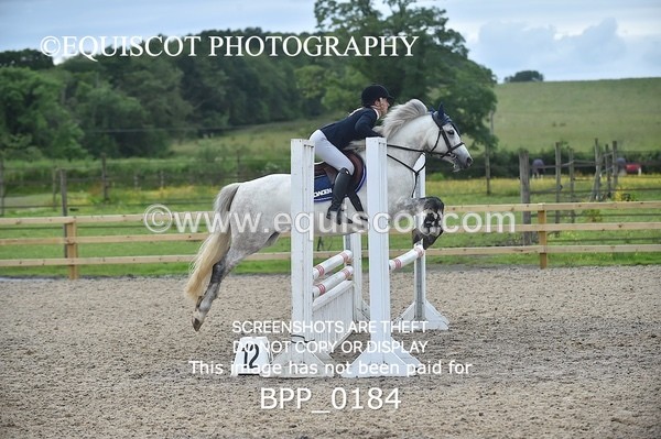 BPP_0184 - CLASS 2 Club/ Unaffiliated 80cms Open