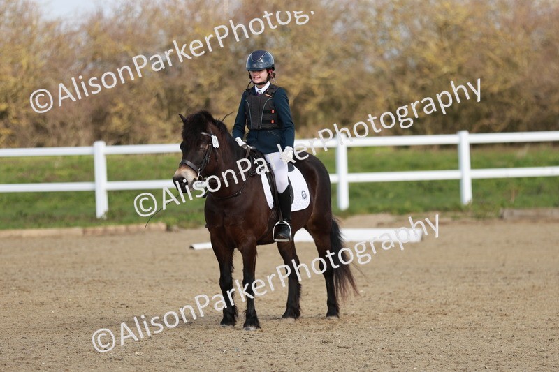 20260314-1091 - DR2 - Intro 3