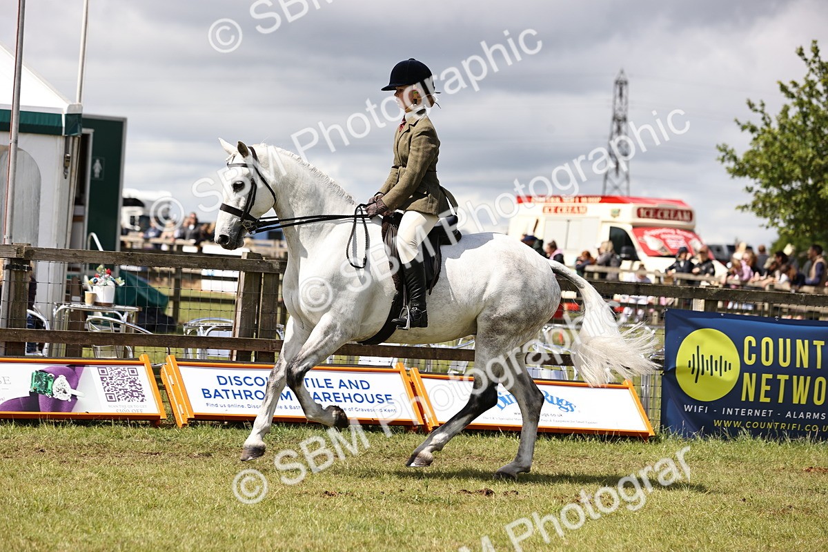 SBM_14555 - Class 88-89 - LIHS BSHA Rising Star of Ridden Hunter Type
