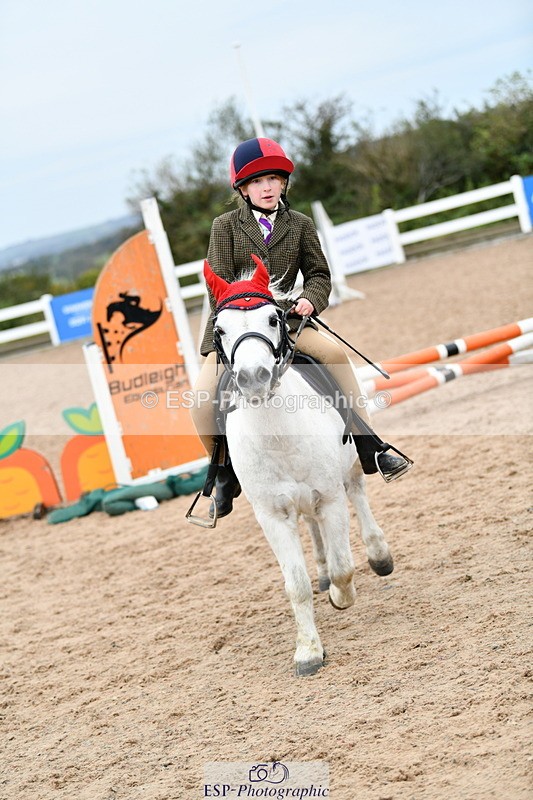 241013B-110524-00521 - Cls 2a 40cm Assisted