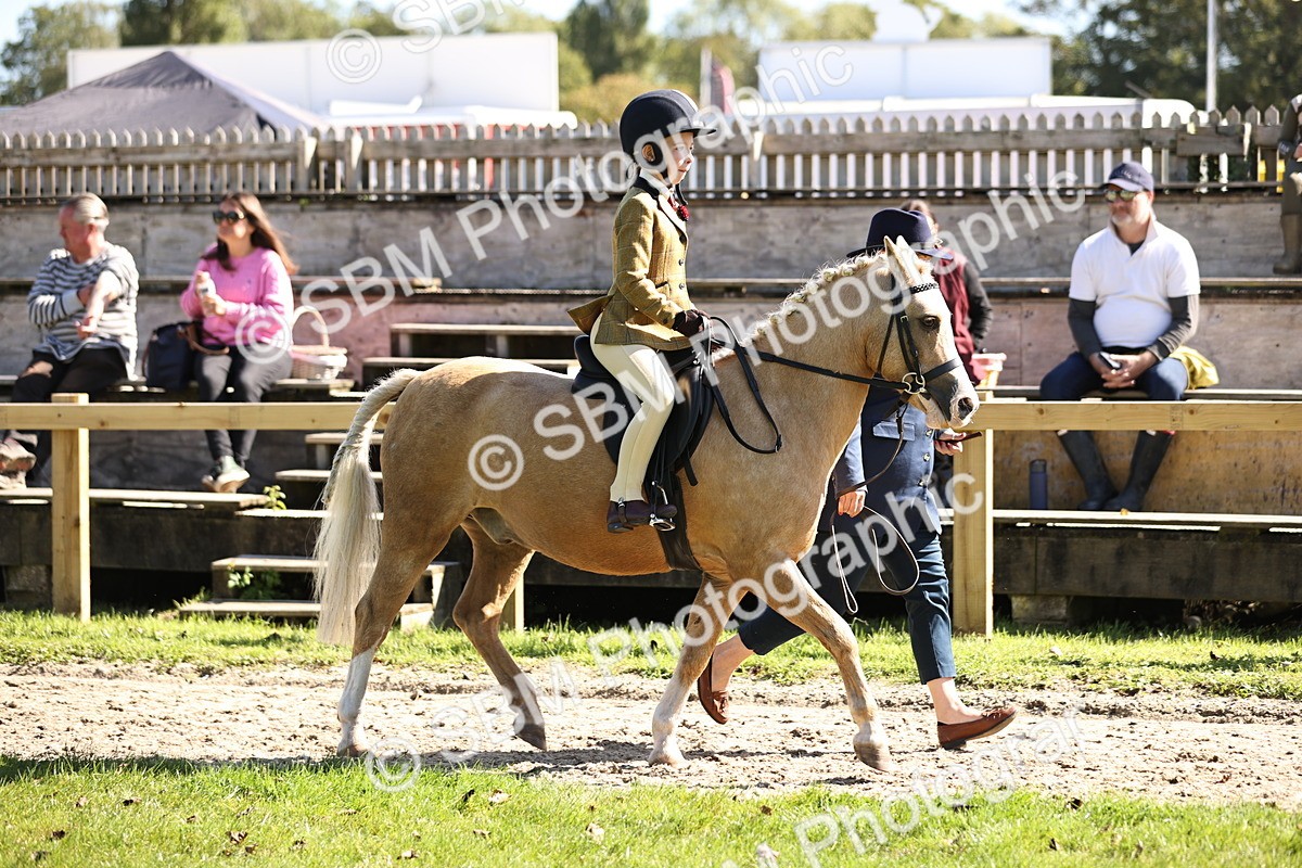 SBM_19235 - S3 - TSR Ridden Pony Showing