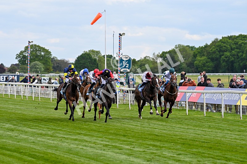 150526-Race 7-Portcullis-8725 - Race 7 5.15pm Darley EBF 'Confined' Novice Stakes