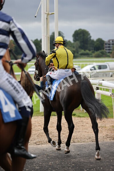 yr24092021r4-9 - Race 4 3.15pm William Hill Play Responsibly British EBF Restricted Novice Stakes