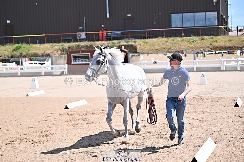250716-123400-00056 - Trot Up 12.30 to 1.30