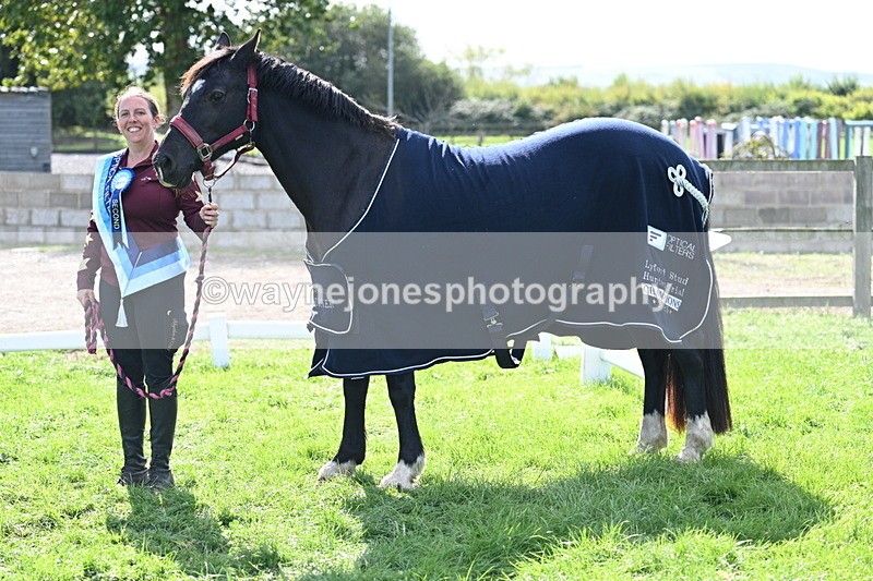 WJ7_1728 - 80cm Champs