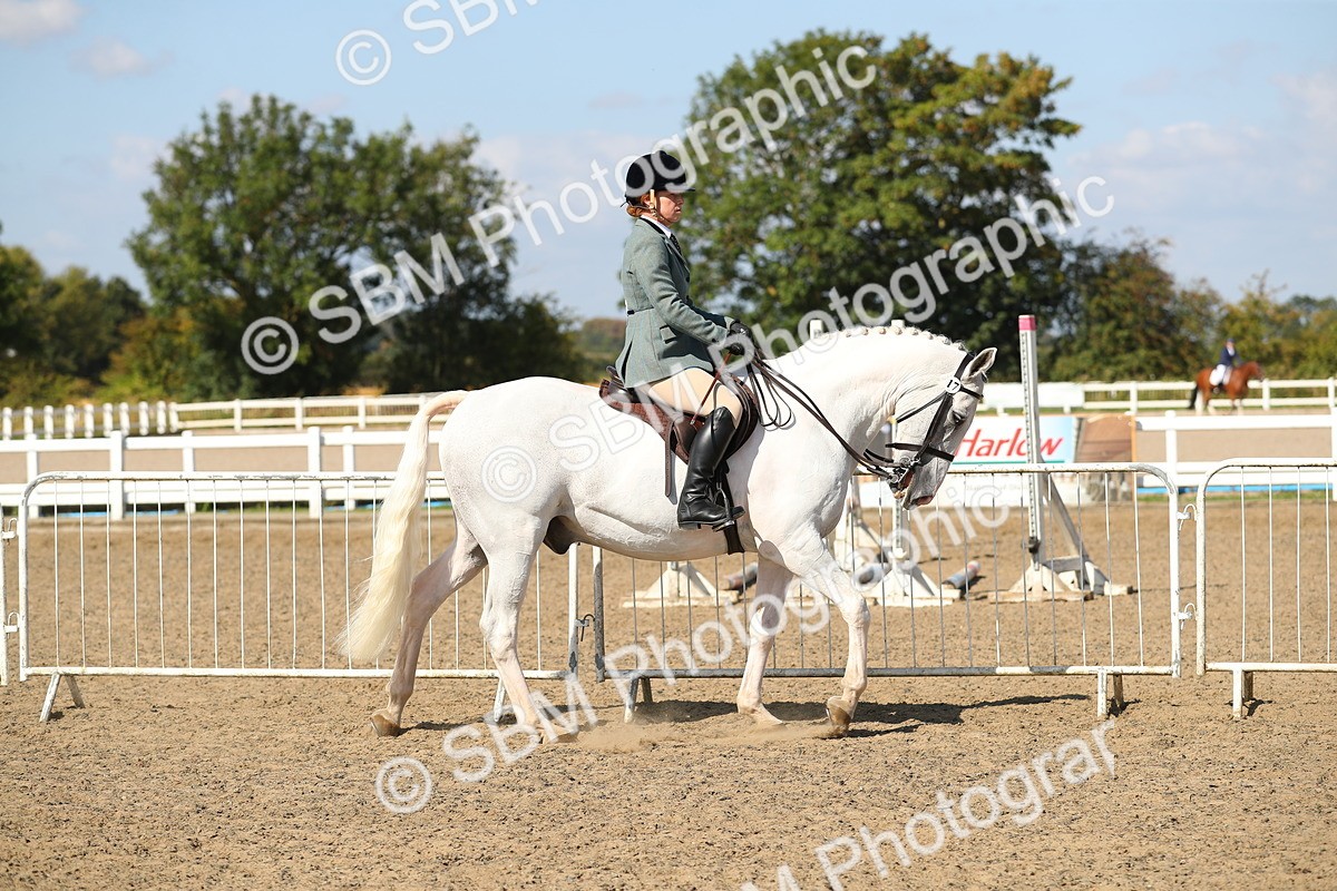 SBM_03102 - Class 44 Riding Club Horse/ Pony