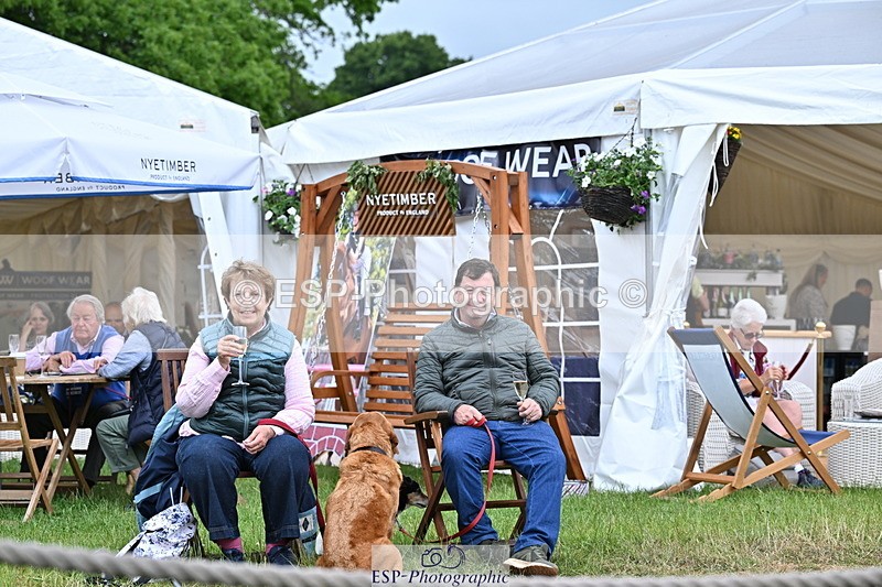 250524A-124232-11019 - Western Counties Crowds