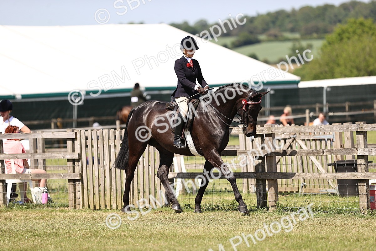 SBM_17968 - Class 81-83 - TSR Ridden Amateur of the Year - Horses