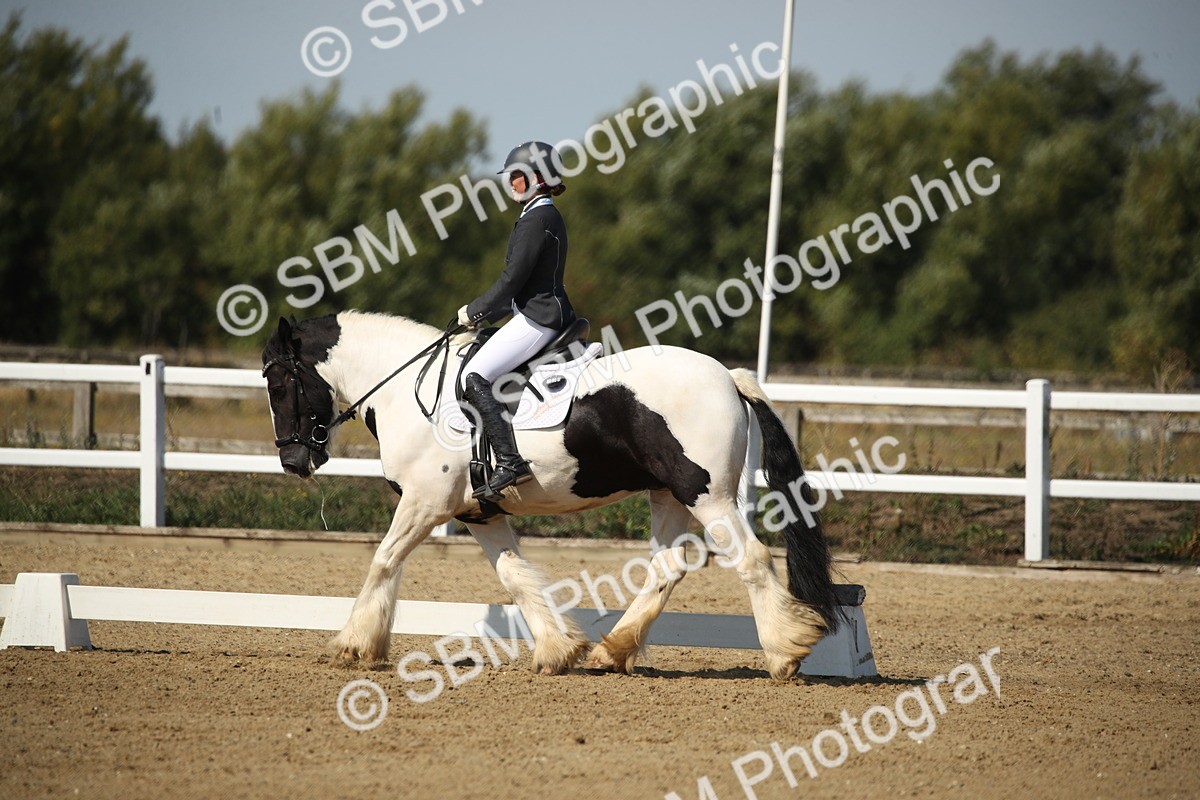SBM_004172 - Class 11 - Novice 5 - 10.24-11.20