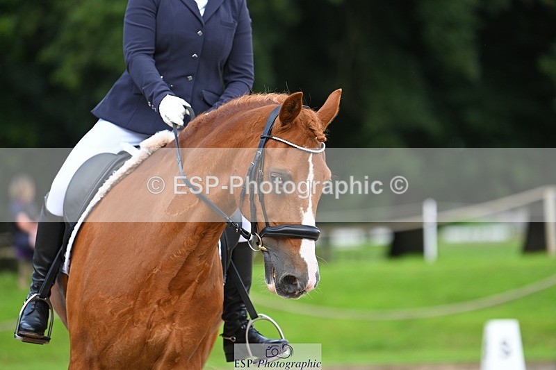 230813-094755-05960 - Cls 12 Elem Silver Start to 10.10 break