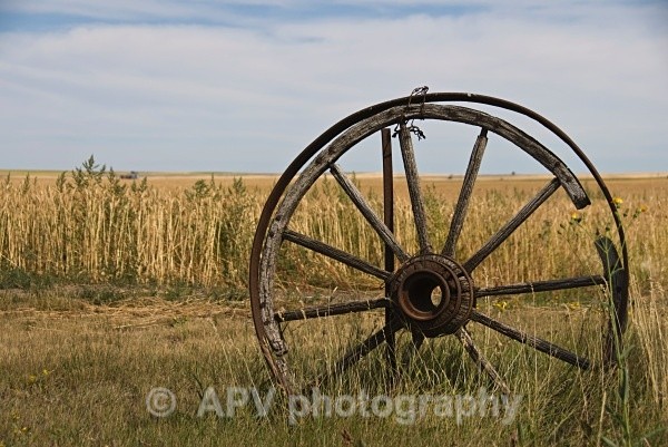  - Travel Images