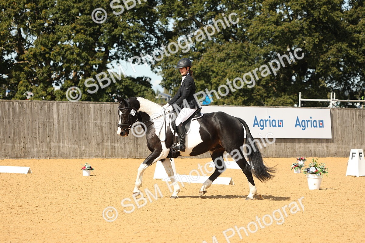 SBM_22164 - D17 - Grand Tour Championship - Novice 27