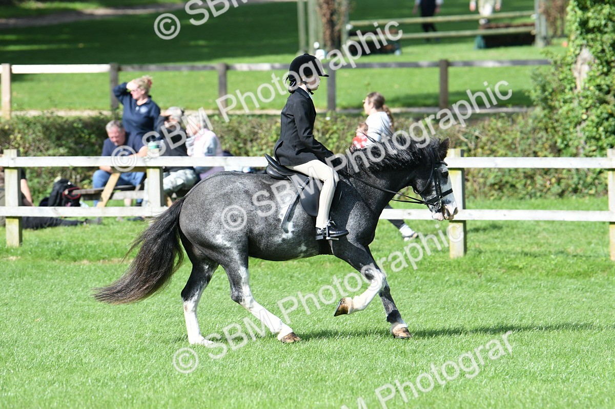 SBM_47089 - S12 - Family Horse & Pony