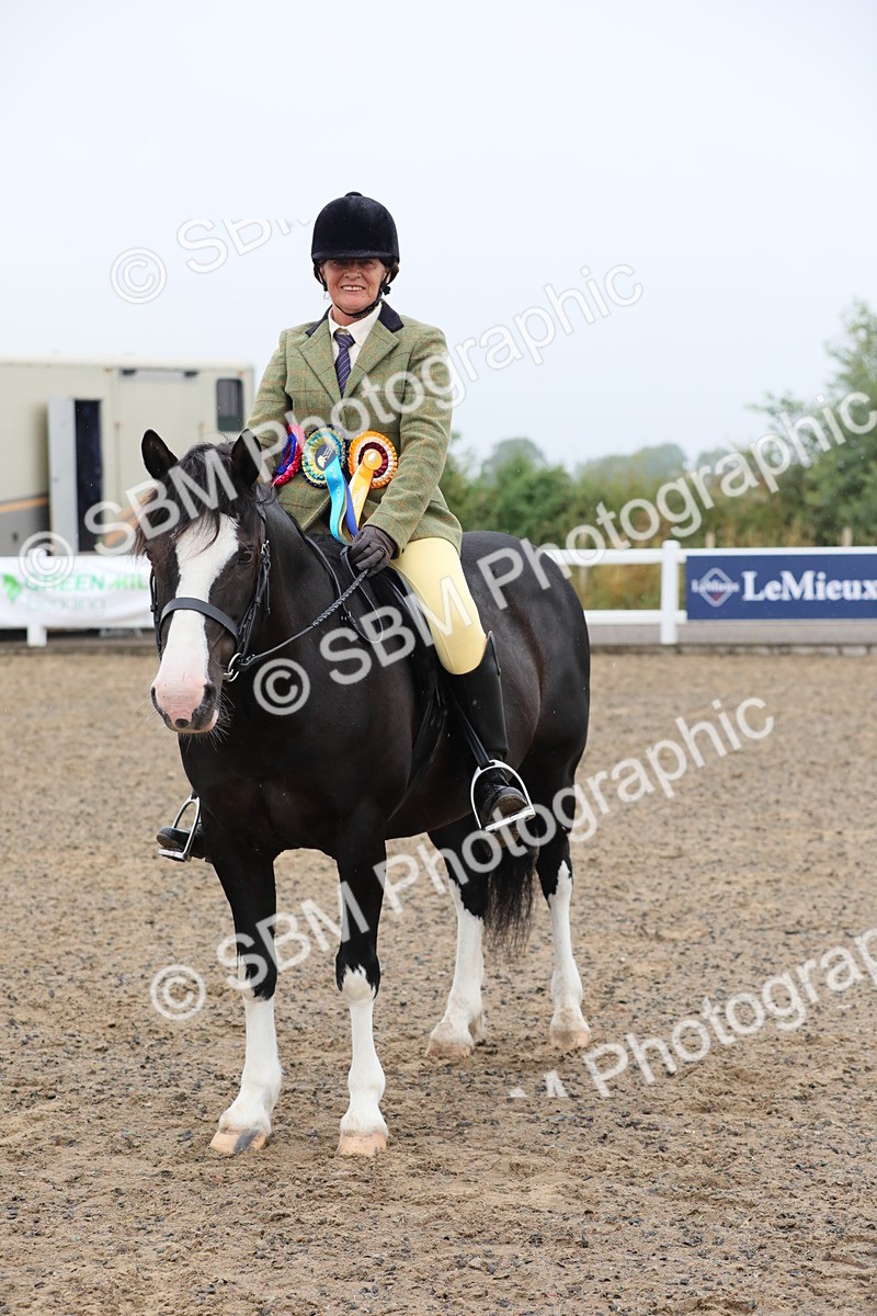 SBM_20097 - Class 802 - Ridden Groom - Helpers class