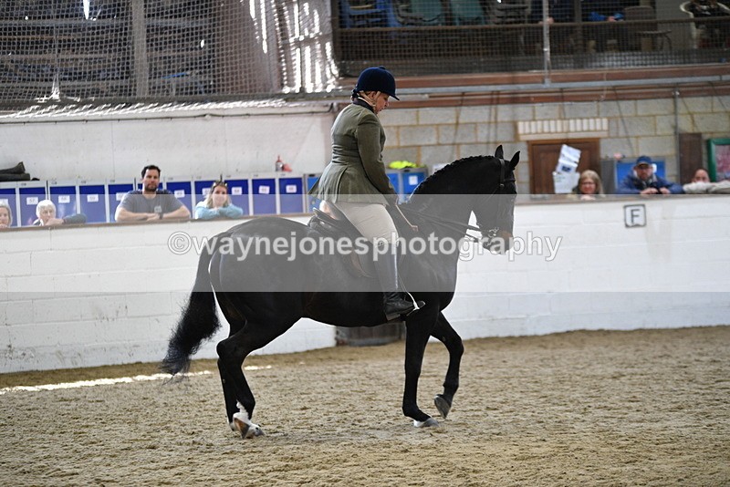 WJ5_6079 - Class 9 Ridden Veteran