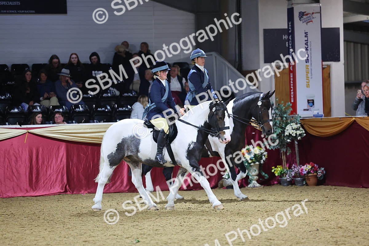 0B8A4333 - Class M Ridden Pairs Champ