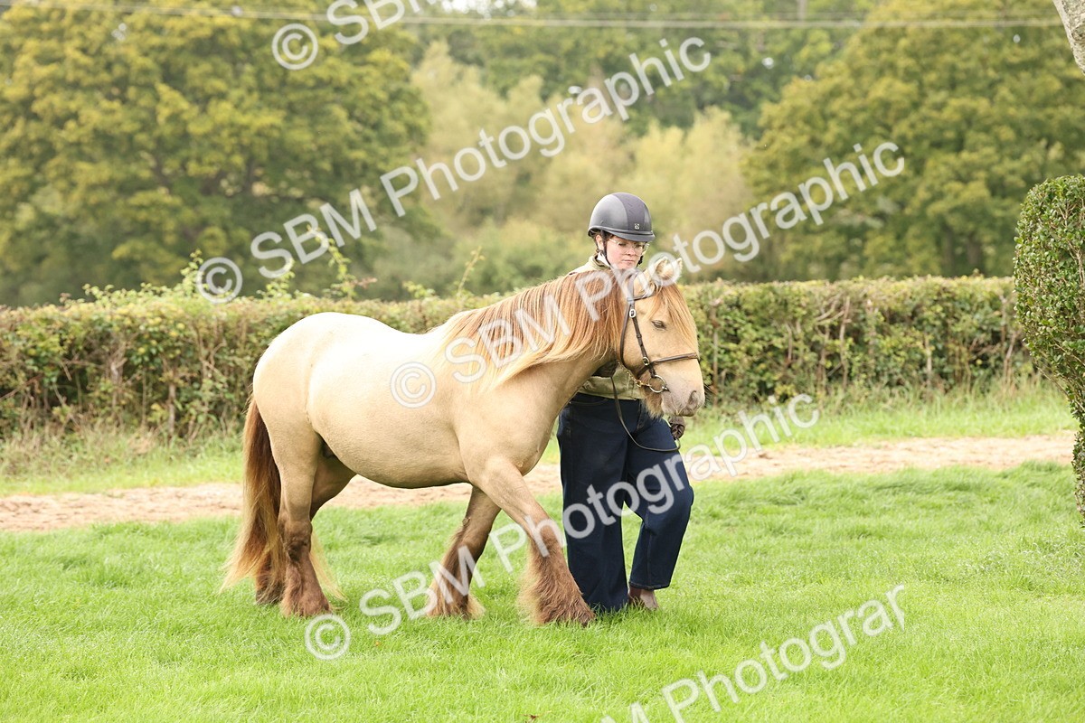 SBM_59206 - S57 - Traditional Cob In Hand