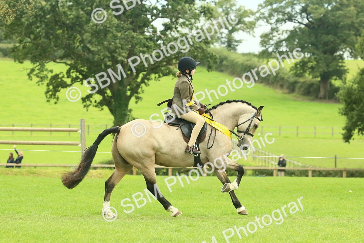 SBM_75023 - Ridden Pony Supreme Championship
