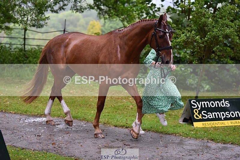 240522-153312-00425 - 367-CROSSTOWN_FINTANS_LAST-Catherine_Burrell