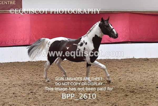 BPP_2610 - LOOSE JUMPING / SPSS