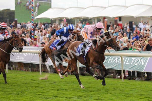 yr19082022r1-21 - Race 1 1.50pm Sky Bet Stakes